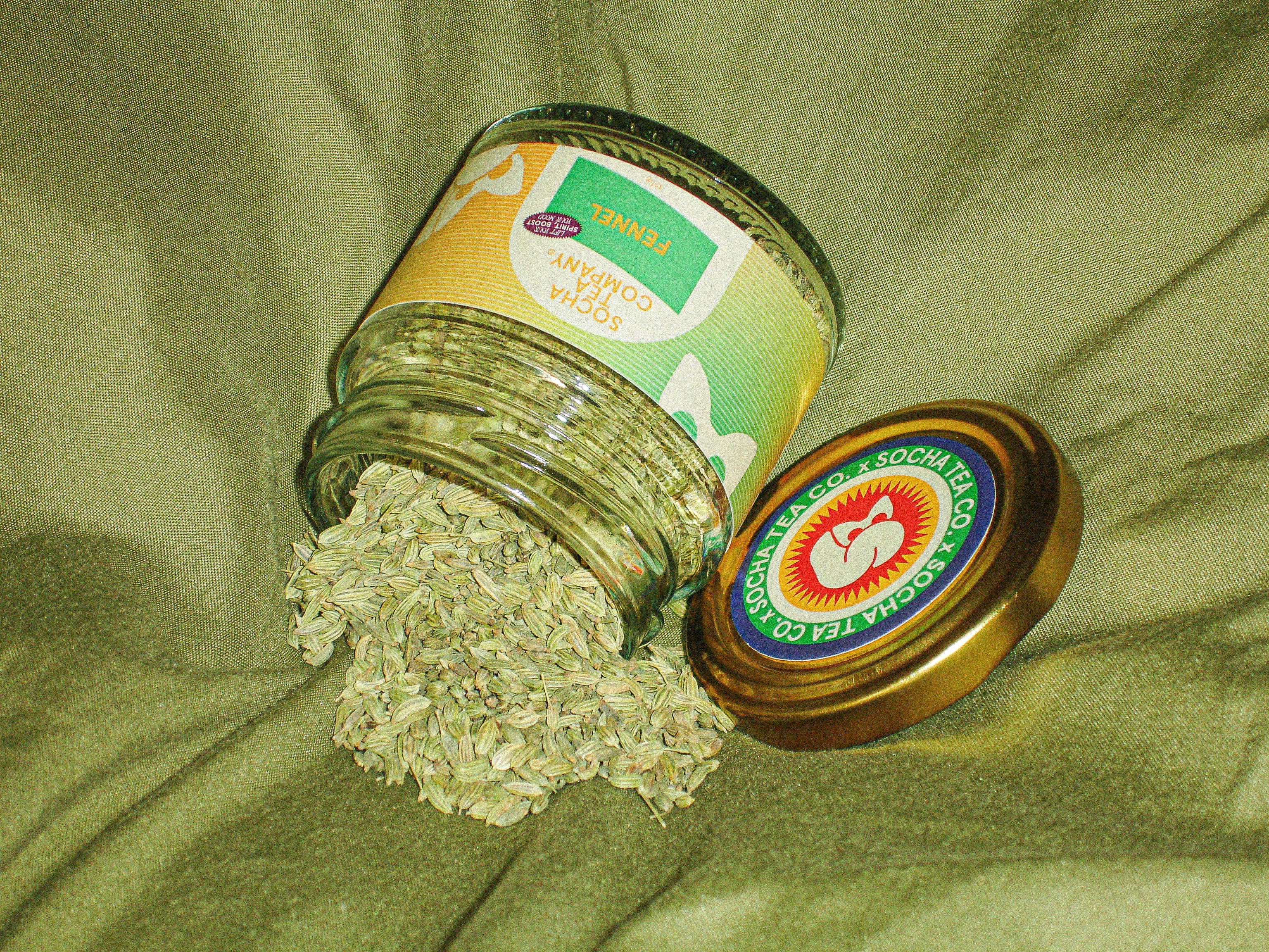 Triple-Graded Fennel