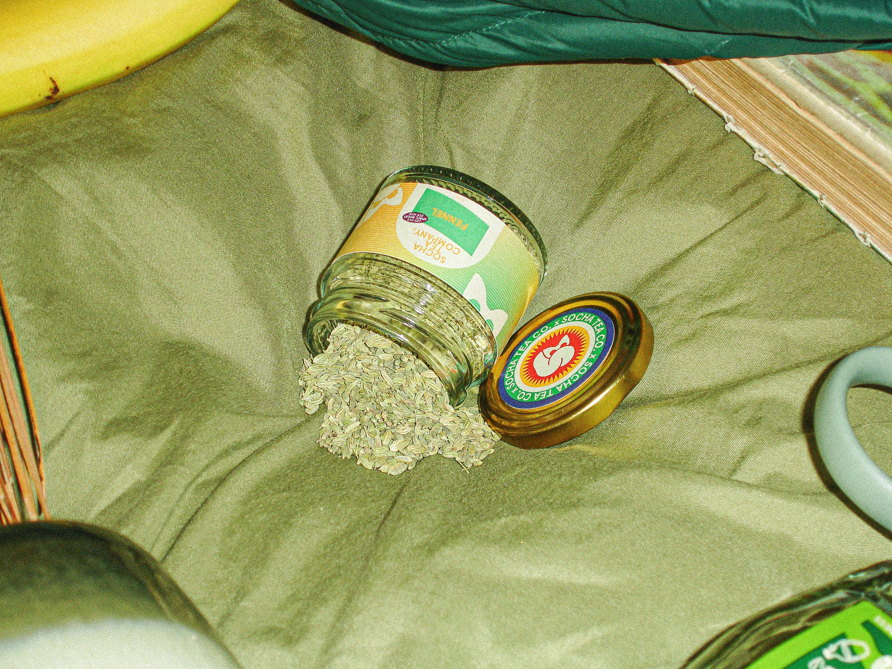 Triple-Graded Fennel