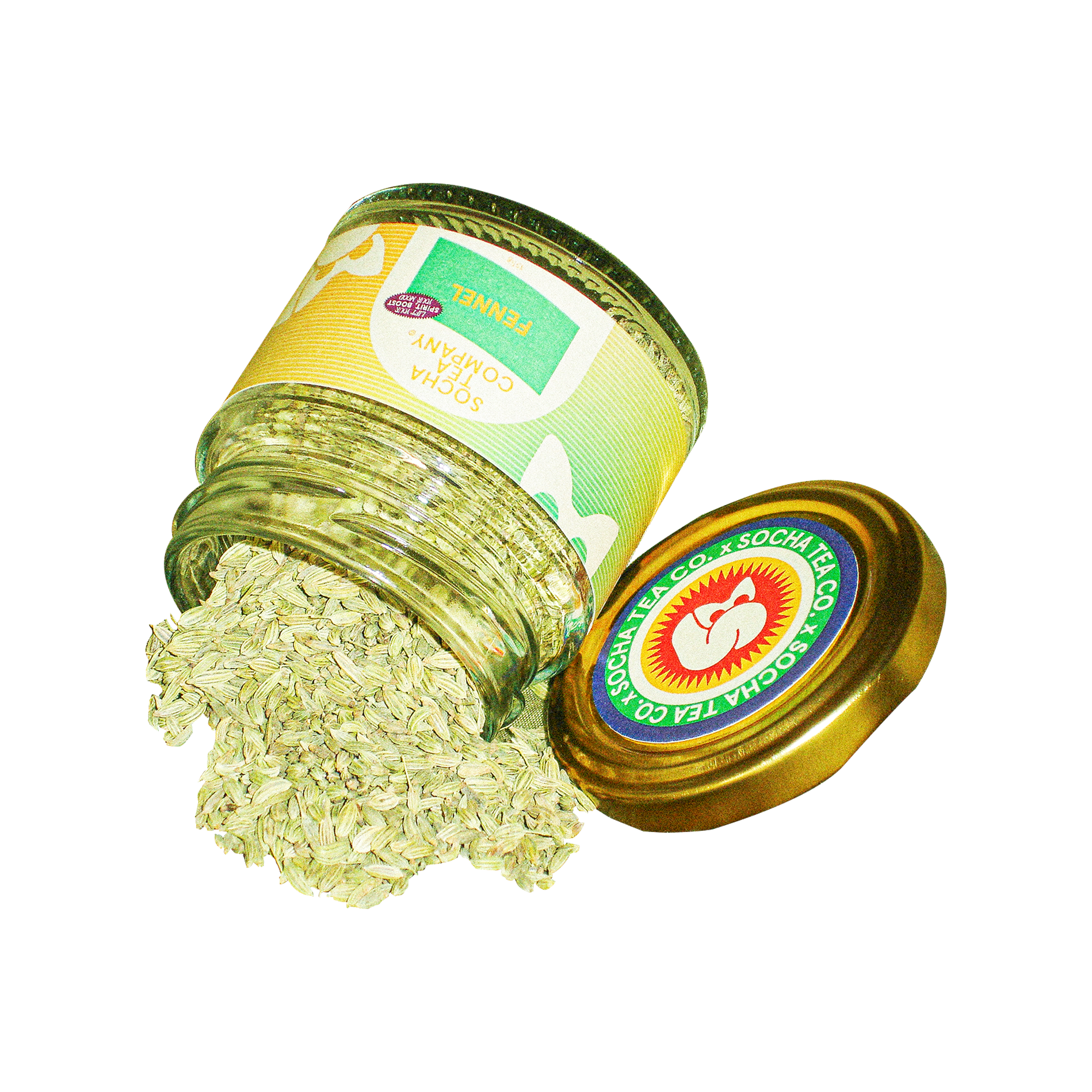 Triple-Graded Fennel